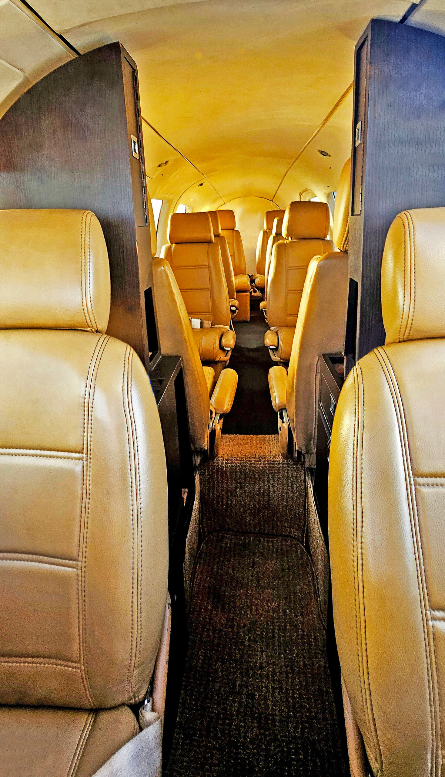 Passenger cabin interior of the Island Birds Piper Navajo Chieftain